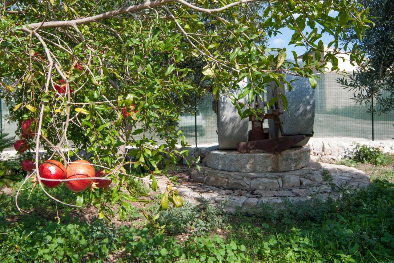 Agriturismo Al Casale Donnafugata Luaran gambar